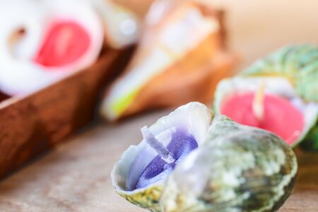 candles hand-made of shells on wood in backgroundの写真素材