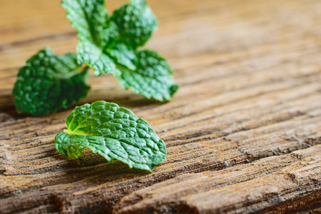 Mint. Fresh mint on a table closeup