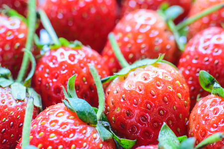 Strawberry. Fresh strawberry. Red strewberry.の写真素材