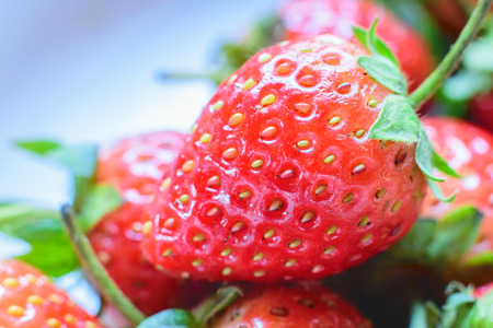 Strawberry. Fresh strawberry. Red strewberry.の写真素材