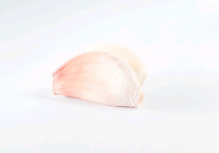 Fresh garlicの素材