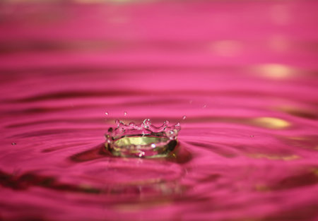 beautiful fresh water drops in fresh naturalの写真素材