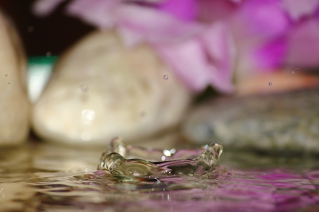 beautiful fresh drop water in fresh nature on backgroundの写真素材