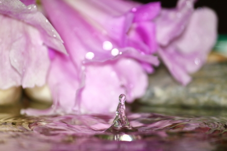 beautiful fresh drop water in fresh nature on backgroundの写真素材