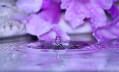 beautiful fresh drop water in fresh nature on backgroundの写真素材