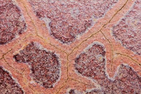texture of brown mable in macro for background