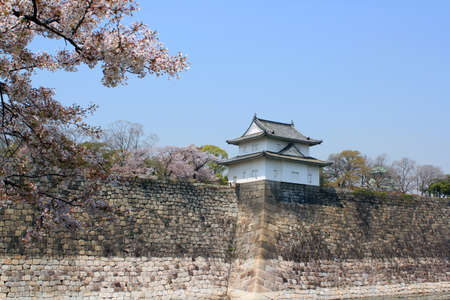 Osaka Castle Park cherry blossomsのeditorial素材