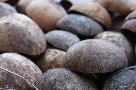 coconut empty shell ,thailand