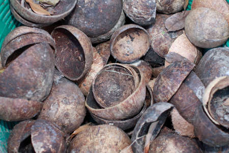 coconut Shell,thailandの写真素材
