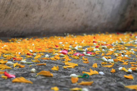 Fallen flowers on the floorの写真素材