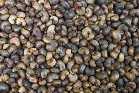 Unhulled cashew nut background,thailandの写真素材