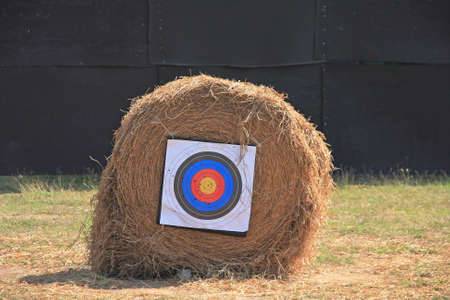 Target for archery