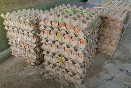 Fresh egg box prevent the eggs from breaking