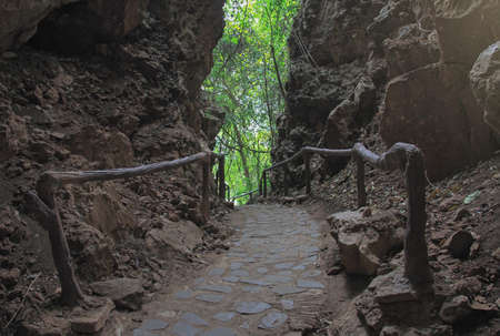 a walkway nature trail a pathway to natural attractions