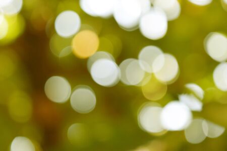 Glittering bokeh circular white on green background .の写真素材