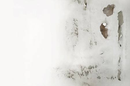 Rain water leaks on the ceiling causing damage, peeling paint and moldy
and empty space for text ,
For web design or graphic art image and photography studio backdrop .
の写真素材