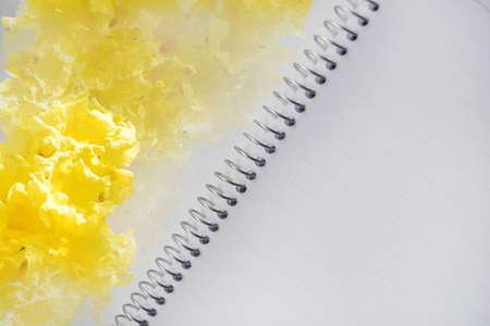 Bright yellow flowers on a notebook with space for textの写真素材