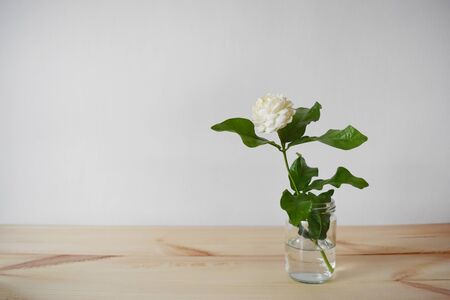 White flowers in a glass vase on a brown wood table , Jasminum sambac in scientific name and space for text. - Tropical Asia flower.の写真素材