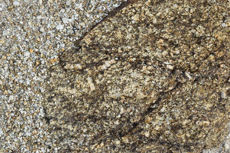 Brown ground and stone surface background ,Nature style and empty space for text