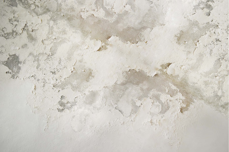 Arrayの写真素材