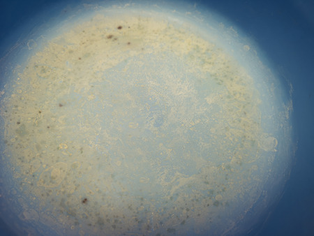 Top view of blue background of dirty plastic surface.の写真素材