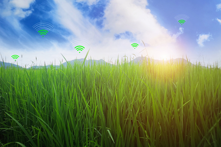 Mountain meadow background and bright sky in spring. Telephone and internet are widely spread.
Empty space for text.の写真素材