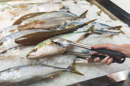 Raw fresh fish on cold Ice with stainless steel handle in seafood market, Selective focus.の写真素材