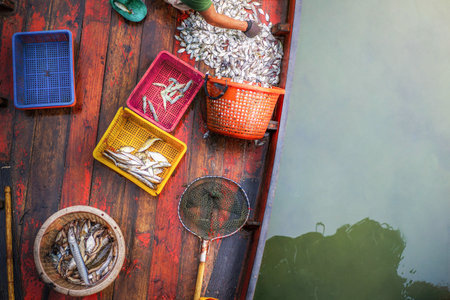 Top view of fisher man with a lot of fishs on fish vessel in moring time.