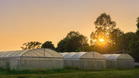 greenhouses for organic planting at morning time with sunlight.の写真素材