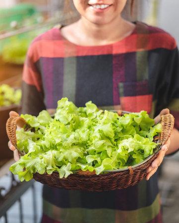 Asian woman gardener holding organic salad plant in basket , Vegetable gardening at home, Selective focus, Copy space, farming and growing your own food concept.の写真素材