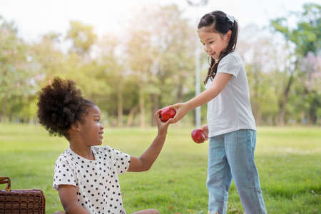 African girl helping to put hairpin clip on caucasian girl friend  after play together, Relationship little kids, Diverse black and white ethnic concept.の写真素材