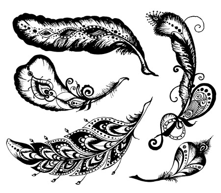 Hand drawn feathers set on white background. doodle vector Set of ethnic feathers.のイラスト素材