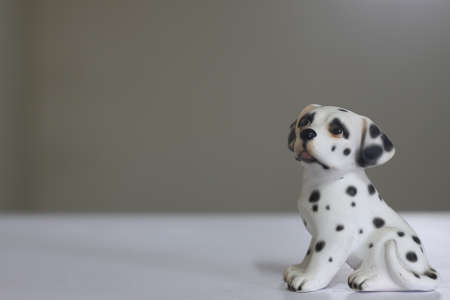 Dalmatianの写真素材