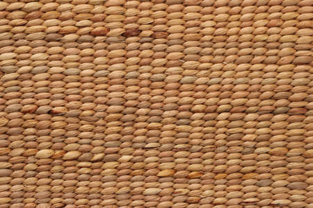 light natural Water Hyacinth texture for the background
