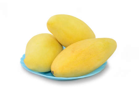 Golden sweet mangoes in Thailandの写真素材