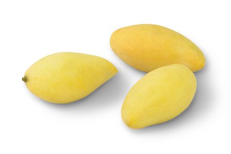 Golden sweet mangoes in Thailandの写真素材