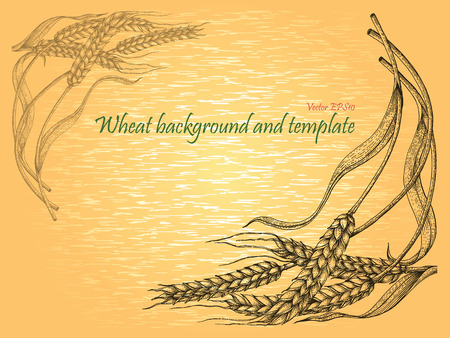 Wheat background and template vintage styleのイラスト素材