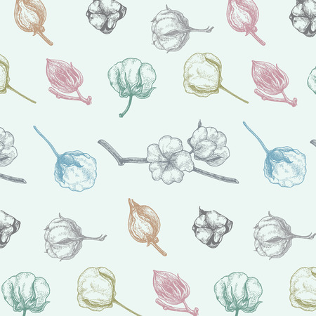 Cotton vector backgroundのイラスト素材