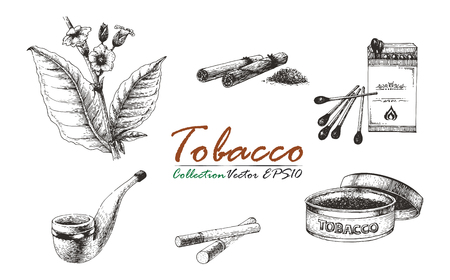 Tobacco collection vintage drawingのイラスト素材