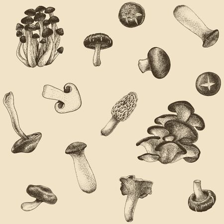 Mushroom backgroundのイラスト素材