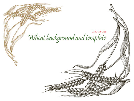 Wheat background and template vintage style_2のイラスト素材