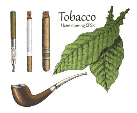 Tobacco collection hand drawing vintage styleのイラスト素材