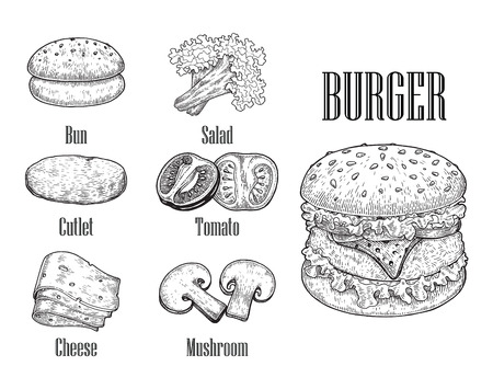 Burger hand drawing vintage style,Burger components,Burger black and white drawing lineのイラスト素材