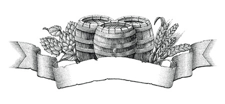 Beer label hand drawing vintage engraving style on white backgroundのイラスト素材