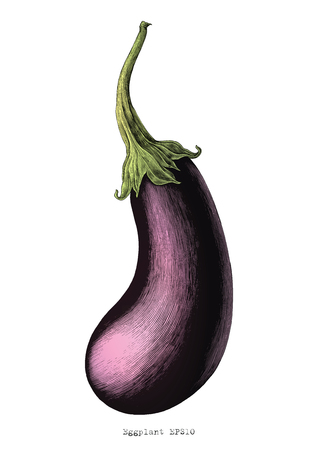Eggplant hand drawing vintage engraving illustration on white backgroundのイラスト素材