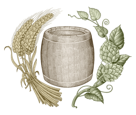 Beer logo hand drawing vintage engraving styleのイラスト素材