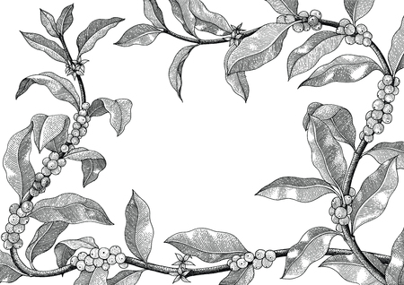 Coffe frame hand drawing vintage illustration on white backgroundのイラスト素材