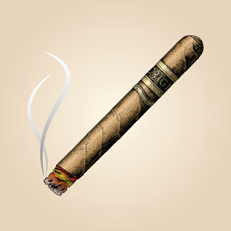 Cigar hand drawing vintage styleのイラスト素材