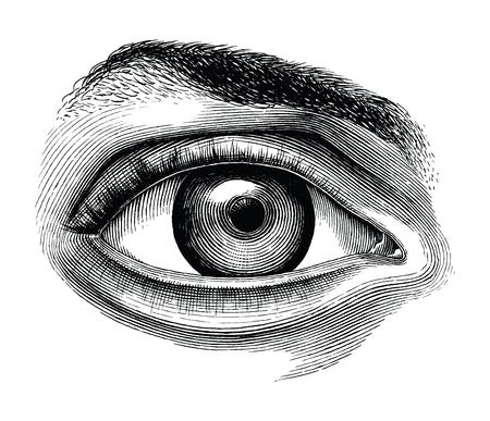 Anatomy of human eye hand draw vintage clip art isolated on white backgroundのイラスト素材