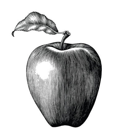 Apple fruit drawing vintage clip art isolated on white backgroundのイラスト素材